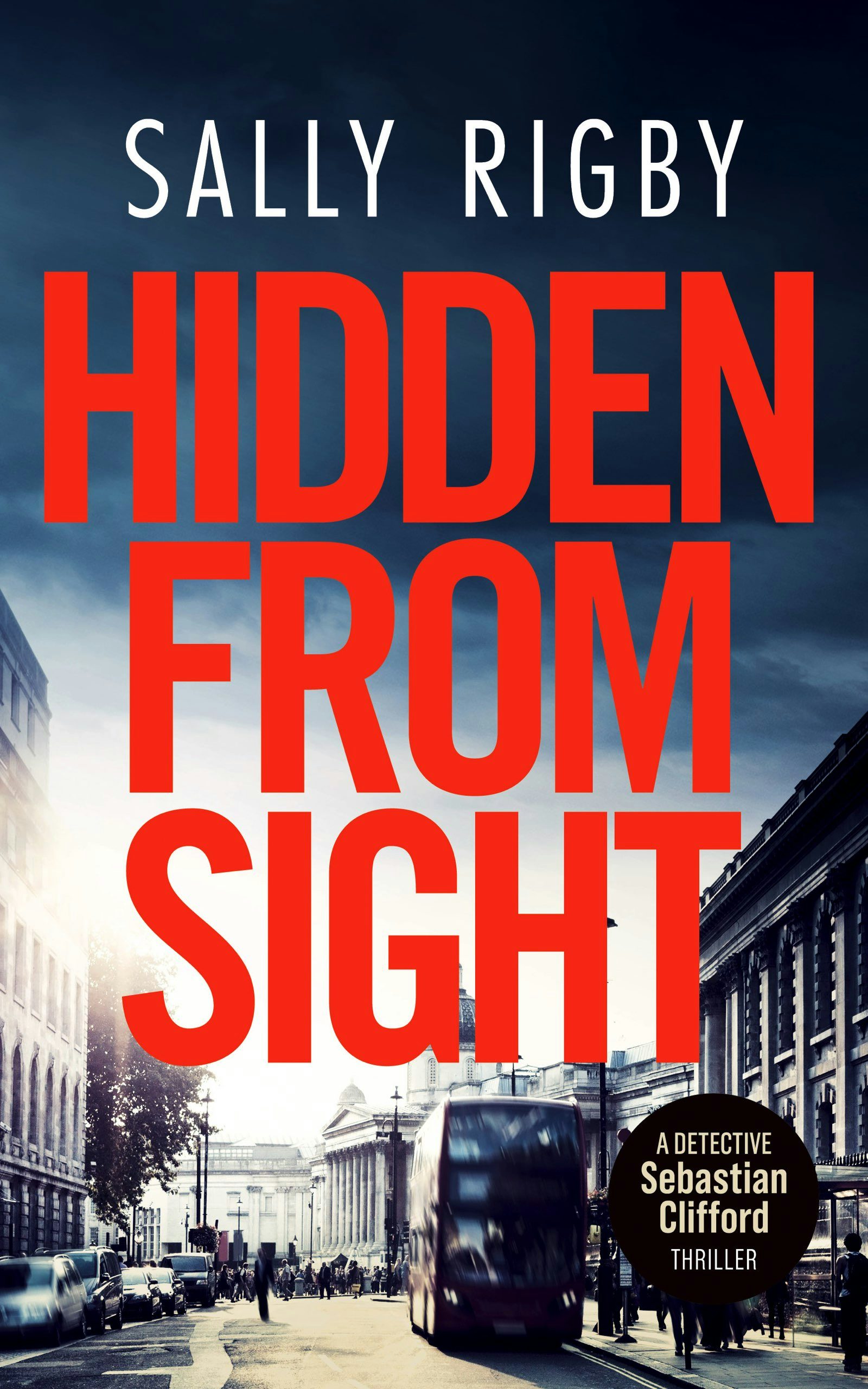 Book cover image for Hidden From Sight ISBN: 9781805086260